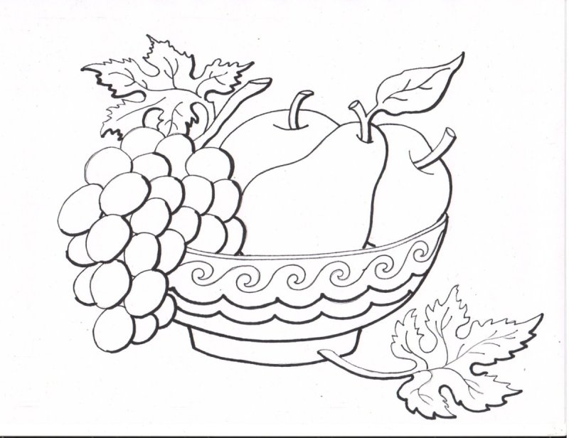 Натюрморт раскраска для детей
