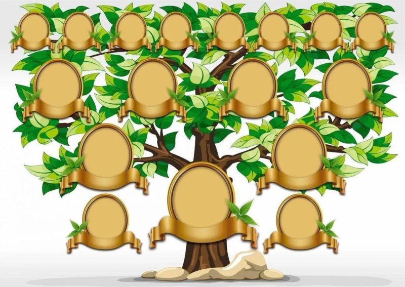 Генеалогическое Древо макет