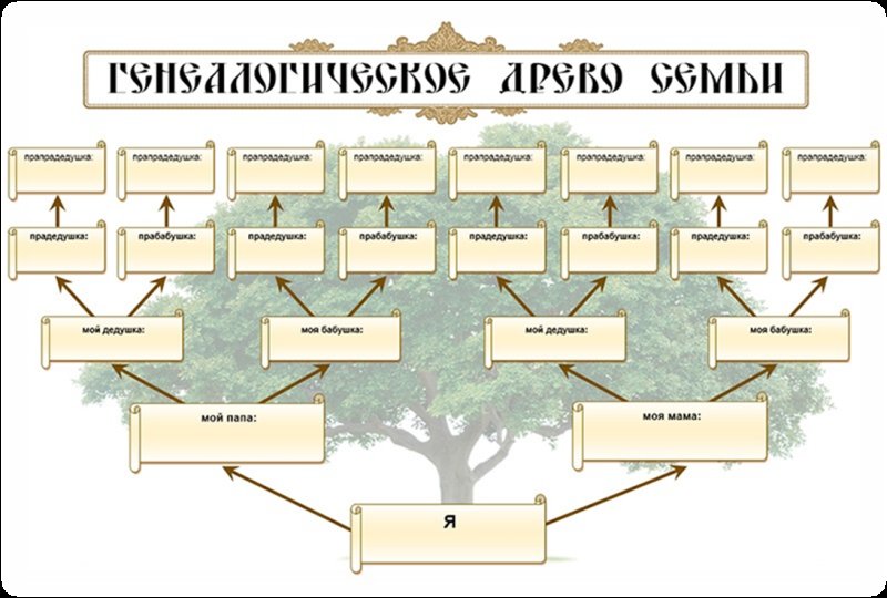 Как составить родословную семьи для школы