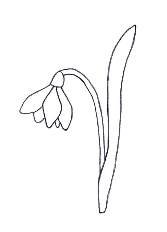 Подснежники для вырезания