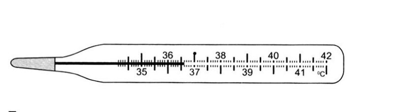 Шкала градусника медицинского