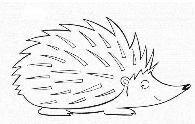 Ёжик раскраска для детей