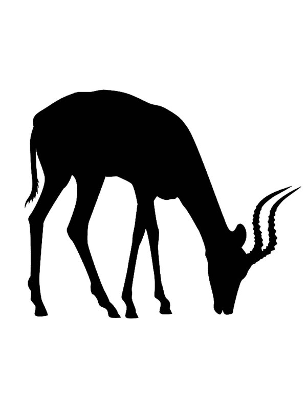 Силуэт бегущей антилопы