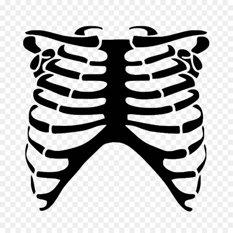 Трафарет скелета