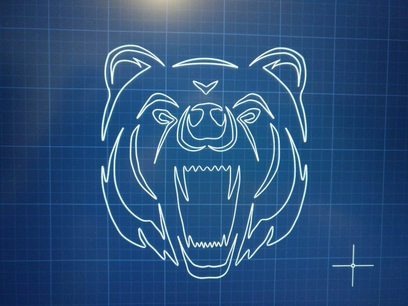 Голова медведя