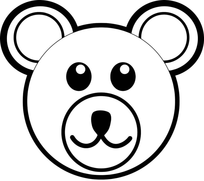 Мордочка медвежонка