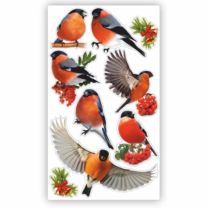 Снегирь на прозрачном фоне