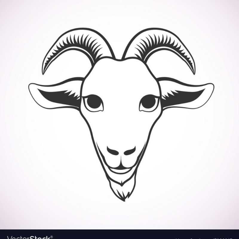 Козел мордочка