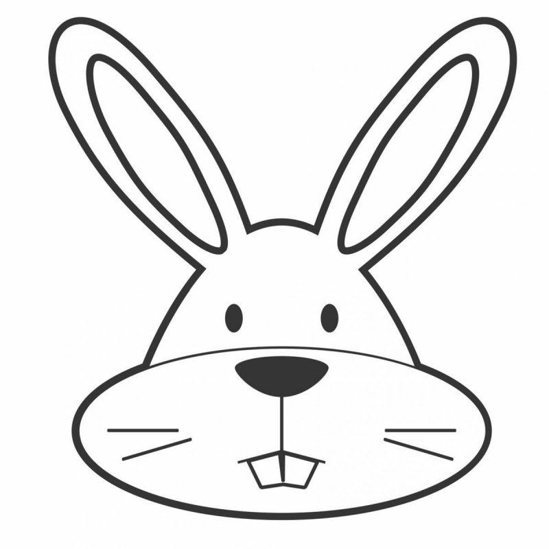 Мордочка зайца рисунок