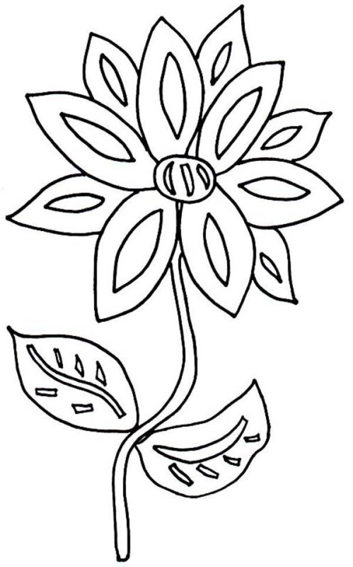 Цветы рисунок