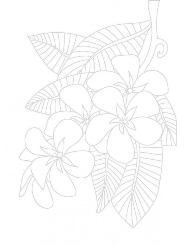 Трафареты для квилтнга