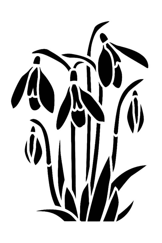 Трафарет подснежника