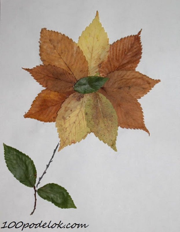 Поделки из листьев