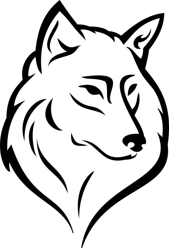 Рисунок волка карандашом для срисовки