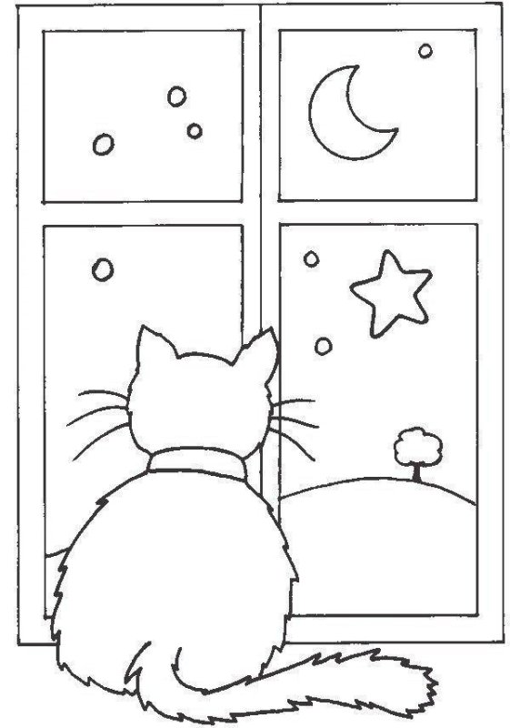 Окно раскраска