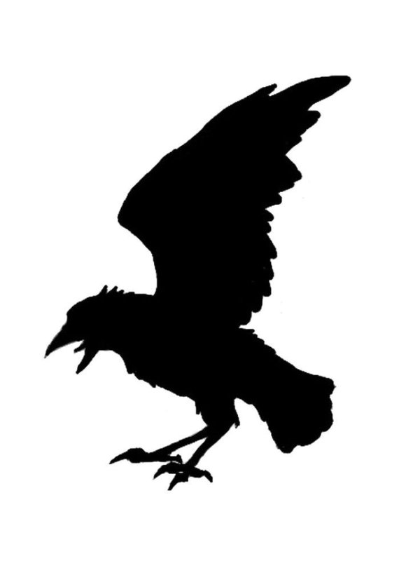 Ворон силуэт