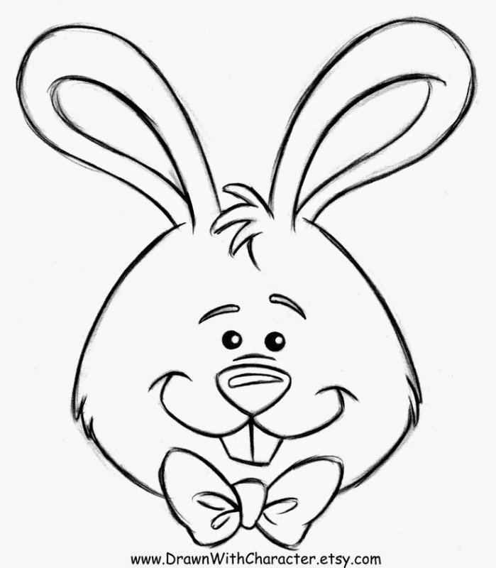 Морда зайца