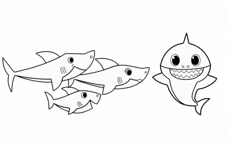 Раскраска акуленка