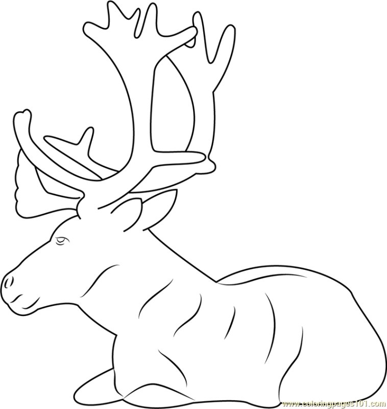 Трафарет оленя для вырезания