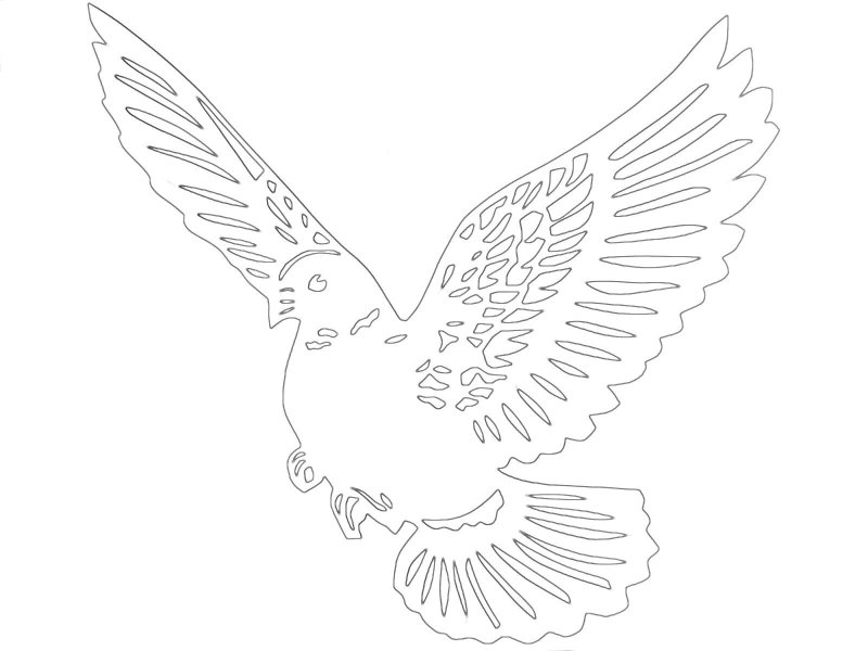 Вытынанка голубь