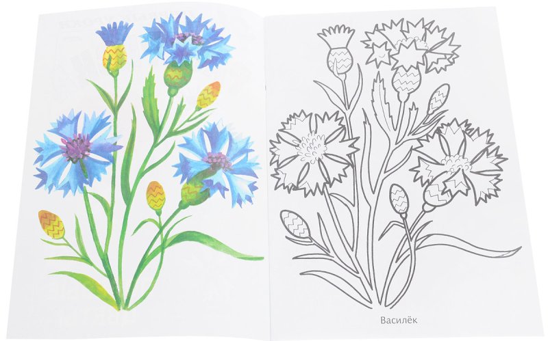 Рисование цветов для детей