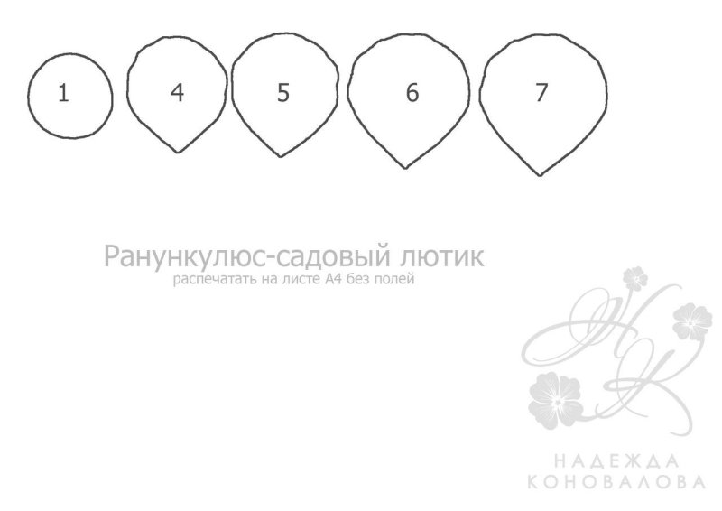 Роза из фоамирана выкройка лепестков