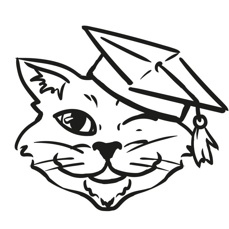 Кот ученый чб