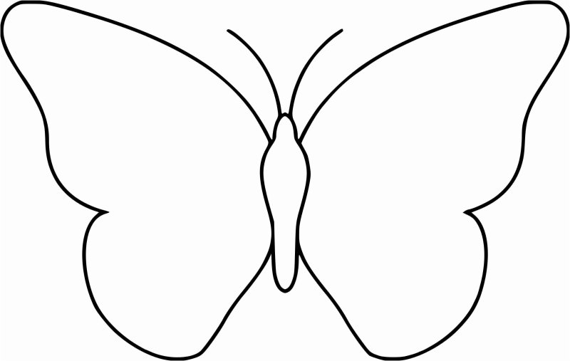Бабочка для раскрашивания для детей