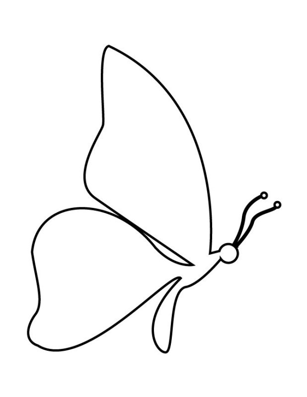 Трафареты бабочки