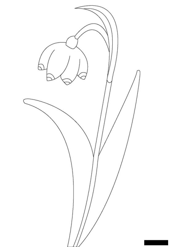 Подснежники раскраска для детей