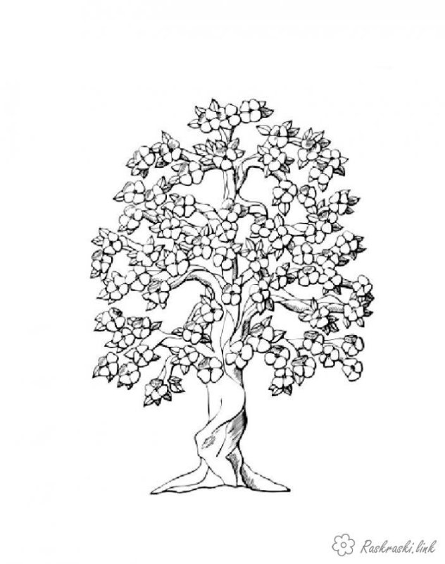 Дерево раскраска для детей