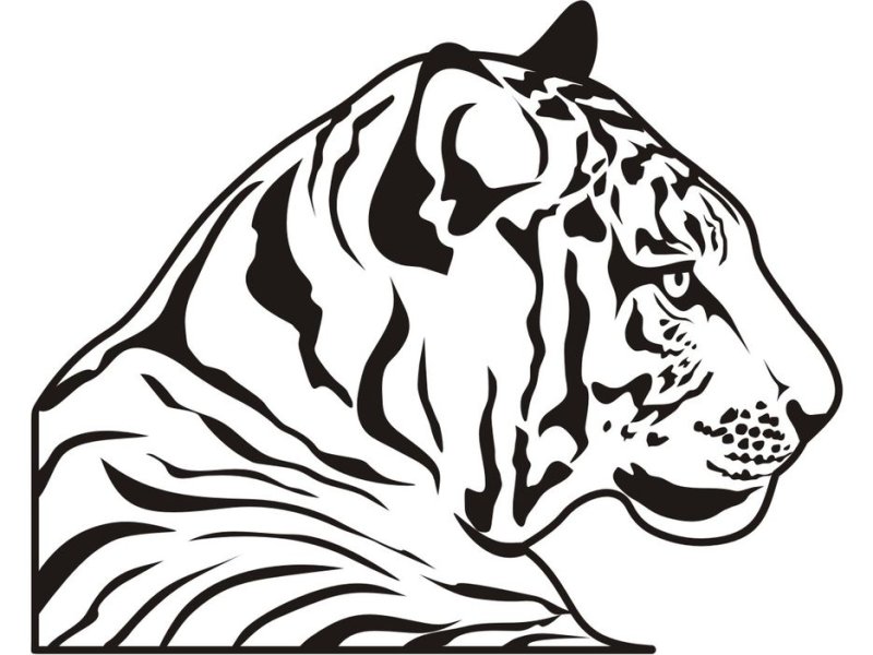 Трафарет тигра