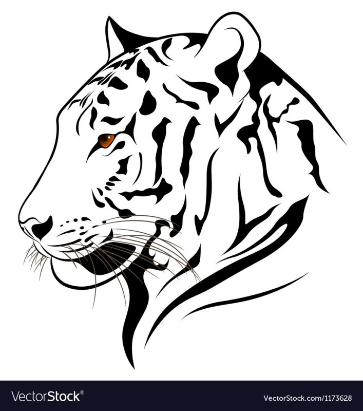 Векторный рисунок тигра