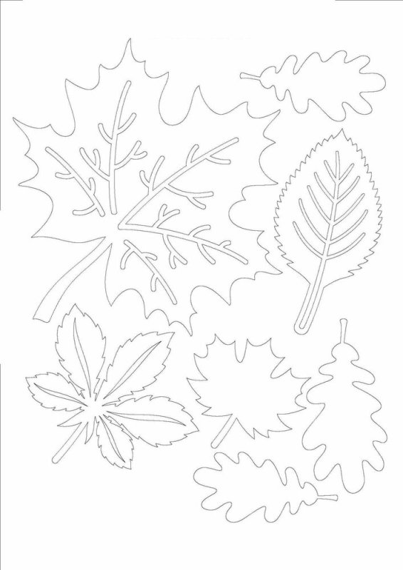 Трафареты осенних листьев на окна