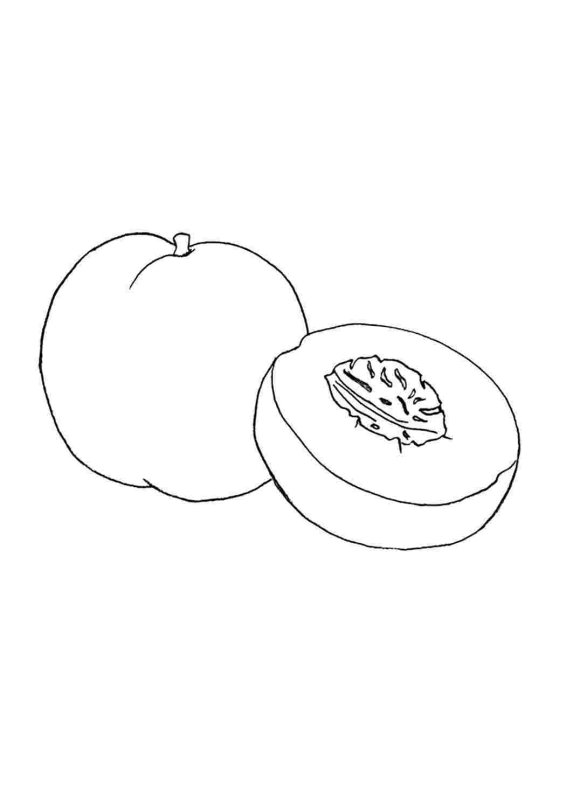Раскраска для малышей персик