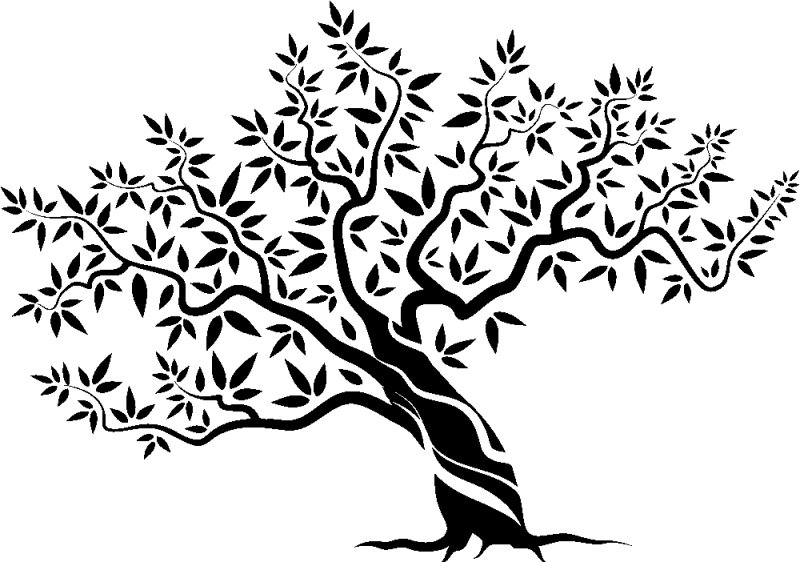 Дерево контур