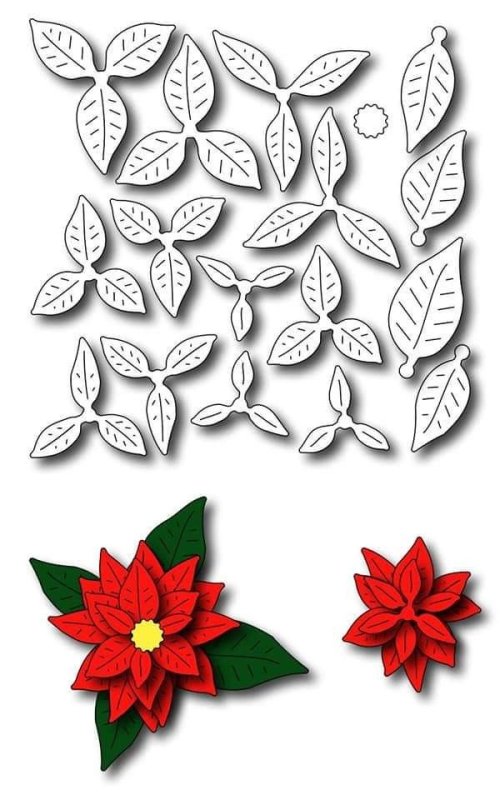 Пуансеттия фом