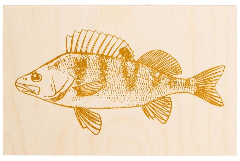 Эскизы для выжигания по дереву рыбы