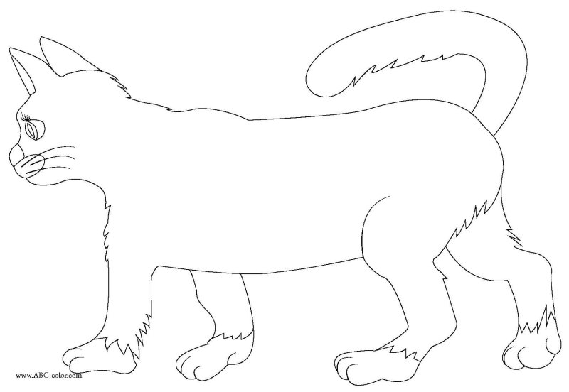 Контур кошки для рисования для детей