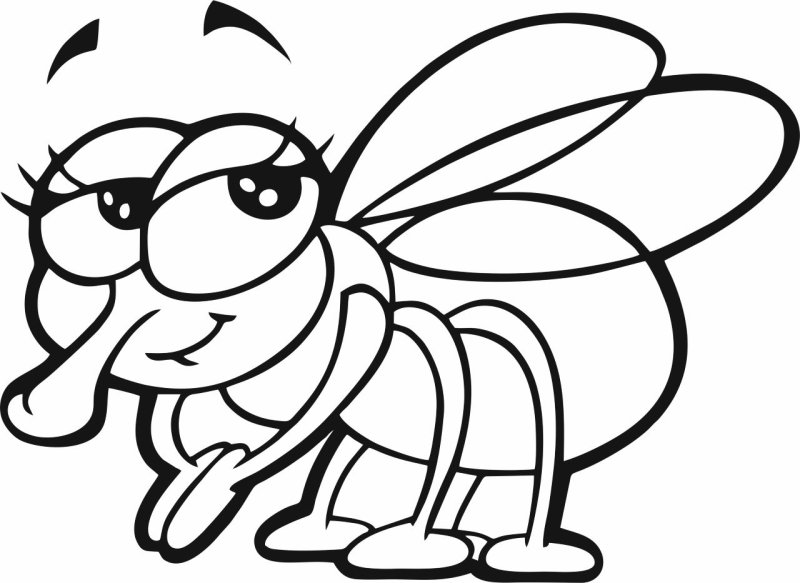 Раскраска Муха-Цокотуха