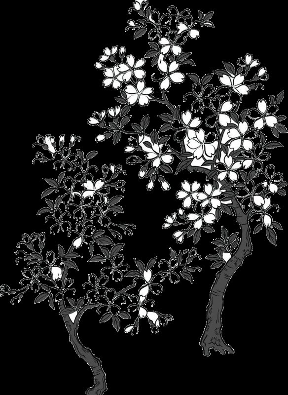 Раскраска Сакура дерево