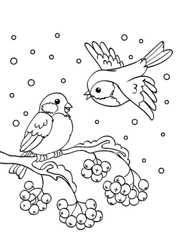 Птица на ветке раскраска