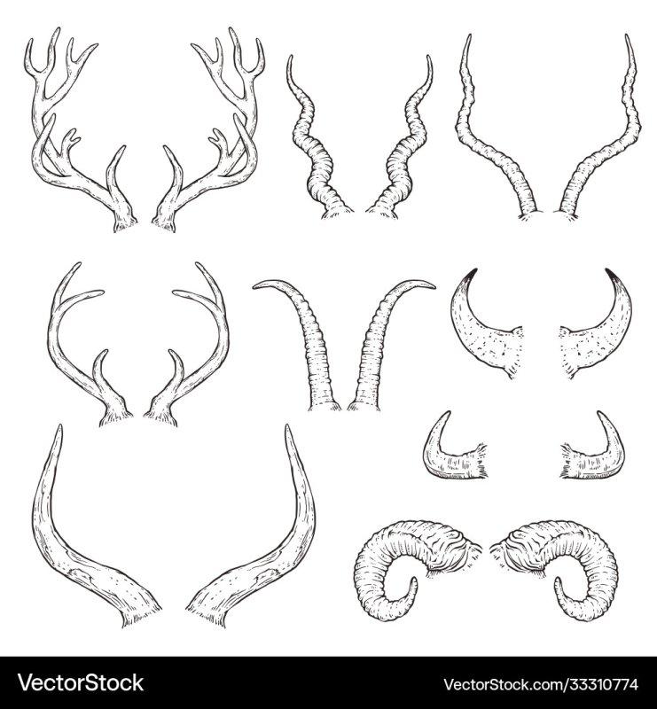 Драконы рога референсы