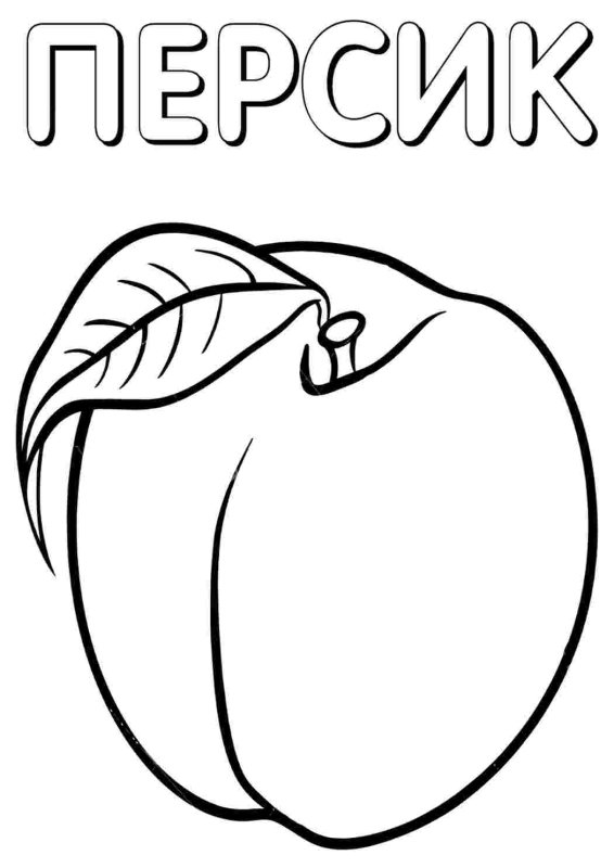 Фрукты. Раскраска
