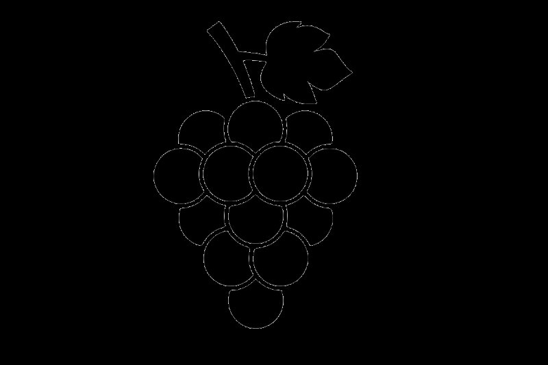 Силуэты фруктов