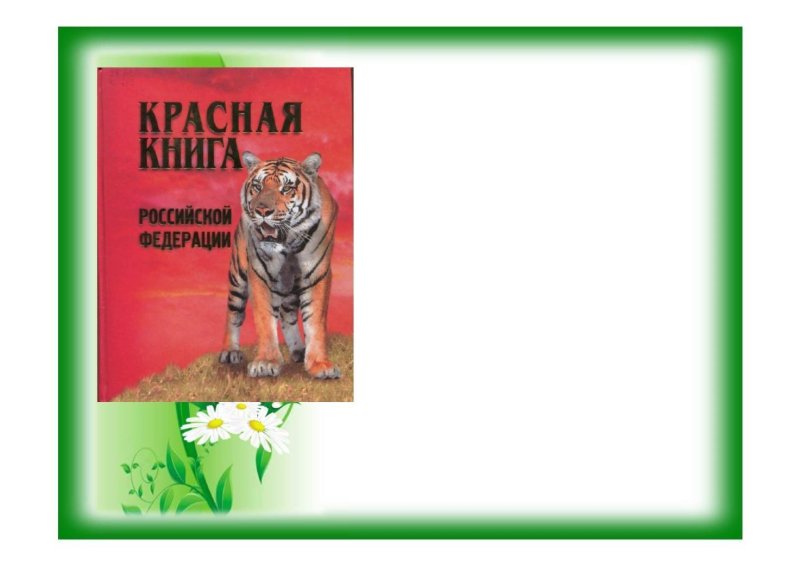 Шаблон для презентации красная книга