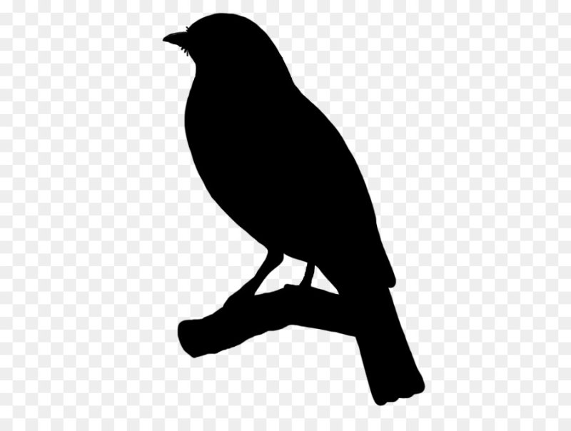 Очертание птицы