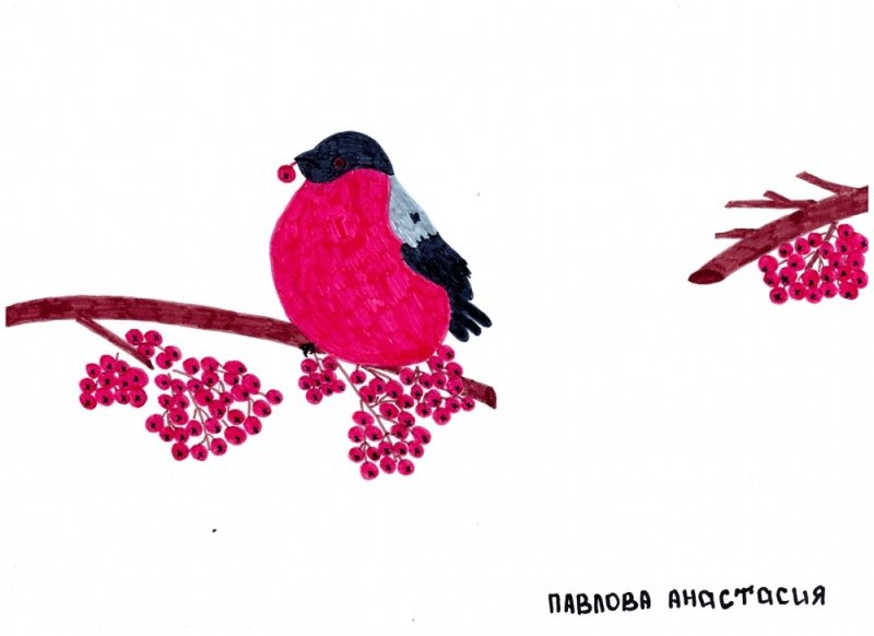 Аппликация Снегирь на ветке рябины