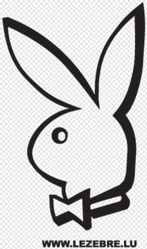 Заяц плейбой