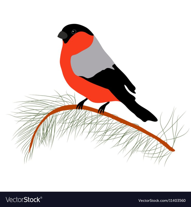 Снегирь на ветке трафарет